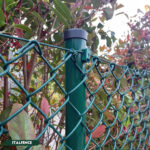 Poste tubo redondo plastificado verde - Imagen 5