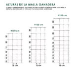 Malla ganadera anudada galvanizada para cercados 50m - Imagen 6