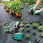 Malla antihierbas 100 g/m² con clavos de jardín y arandelas - Imagen 6